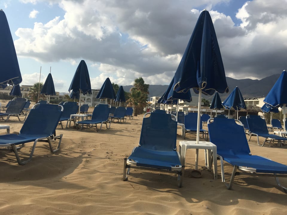 Strand Delfina Tropic Beach