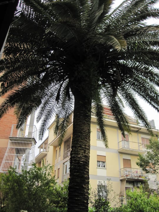 Interior Garden Hotel Pulitzer