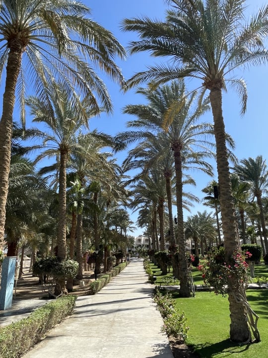 Gartenanlage Brayka Bay Resort