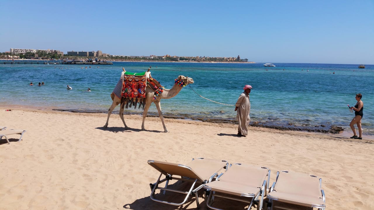 Taxi! Jaz Makadi Blue - TUI BLUE Makadi - Adults Friendly 16 Years Plus