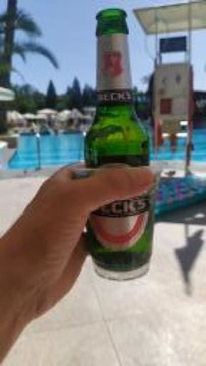 Pool Hotel Delphin Diva