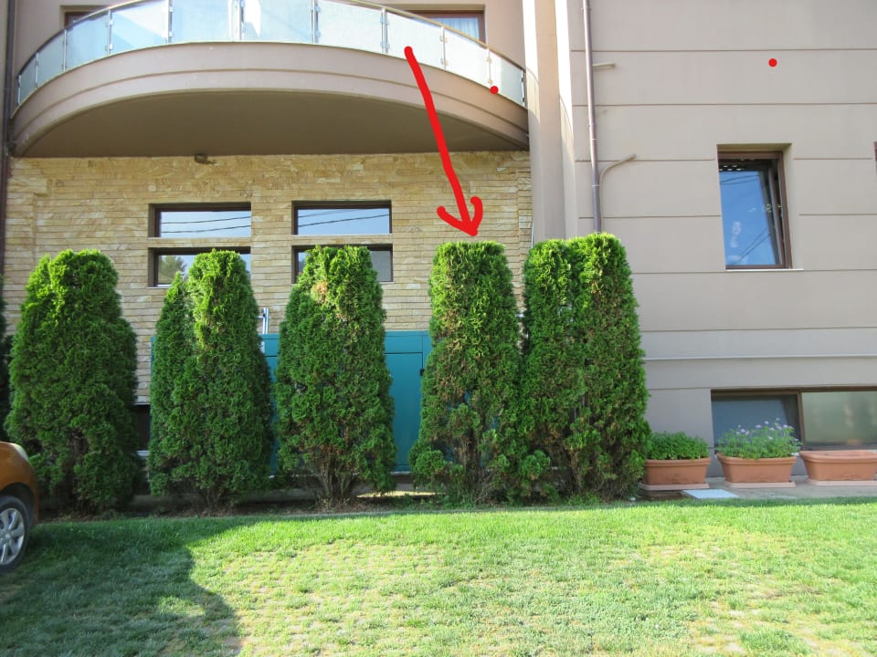 Außenansicht Alexandra Golden Boutique - Adults only