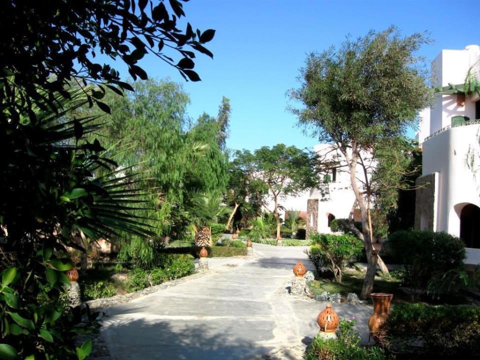 Fußweg zwischen den Bungalows Shams Alam Beach Resort
