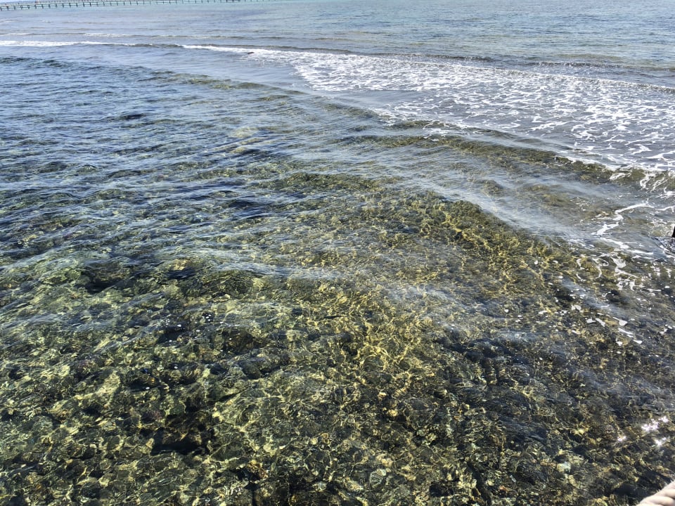 Strand Pickalbatros Royal Moderna Resort-Sharm El Sheikh