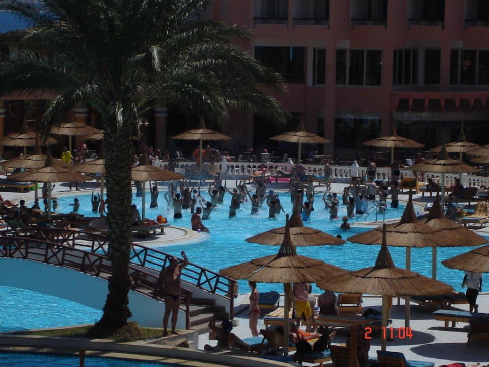 Wassergymnastik Beach Albatros Resort
