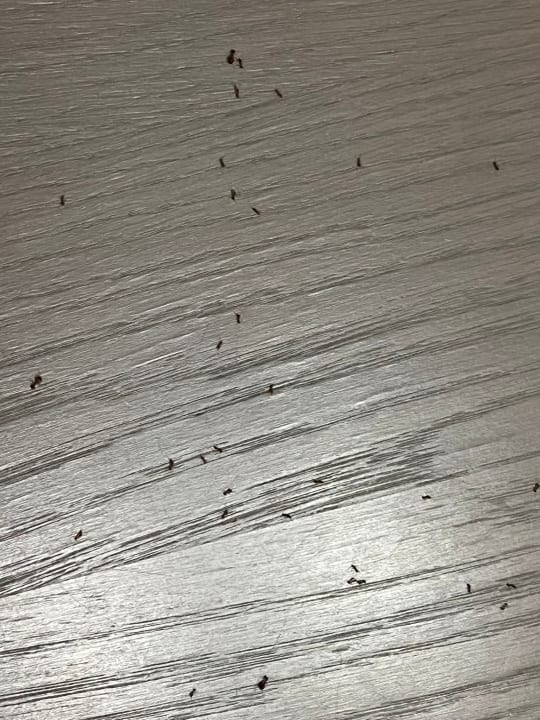 Zimmer Gaia Garden Hotel