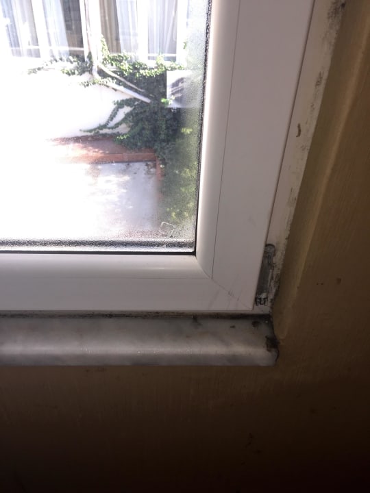 Schimmel Hotel Diva's