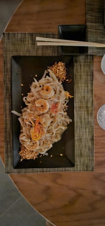 Gastro JAZ Elite Amara