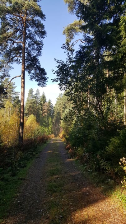 Sport & Freizeit DORMERO Hotel Freudenstadt