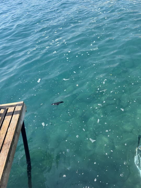 Strand Güral Premier Tekirova