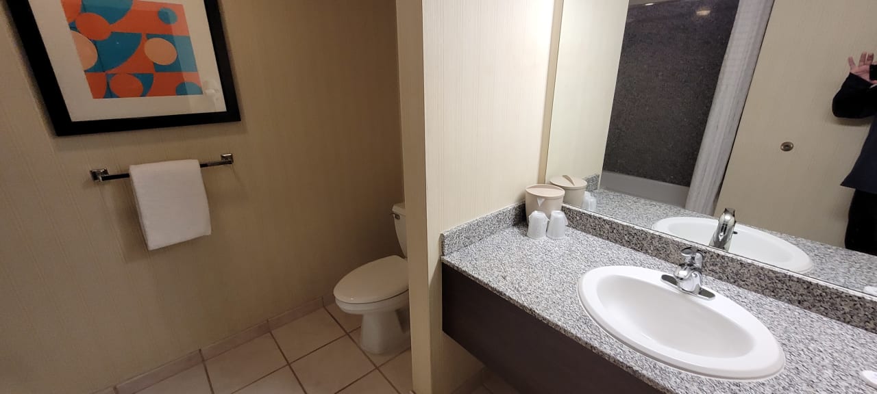 Zimmer Hotel Circus Circus