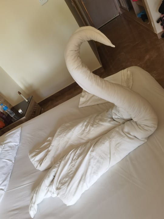 Zimmer Beach Albatros Resort