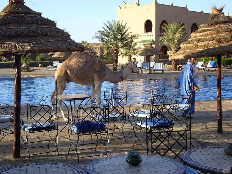 Hotelpool mit hoteleigenem Dromeda Hotel Kasbah Chergui