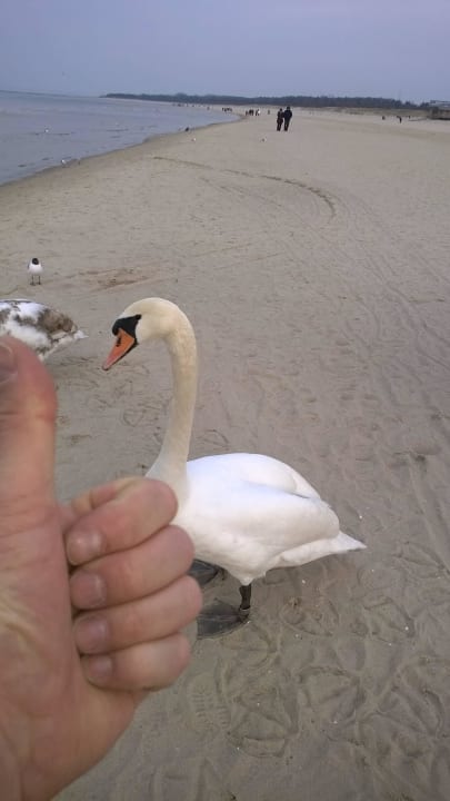 Ca. 300m vom Hotel Hotel Cis