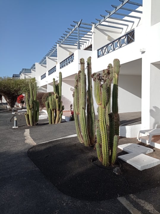 Außenansicht Relaxia Olivina