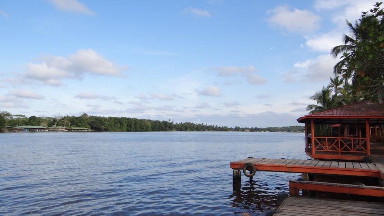 Blick vom Hotellandungssteg in Richtung Tortuguero Hotel La Baula Lodge
