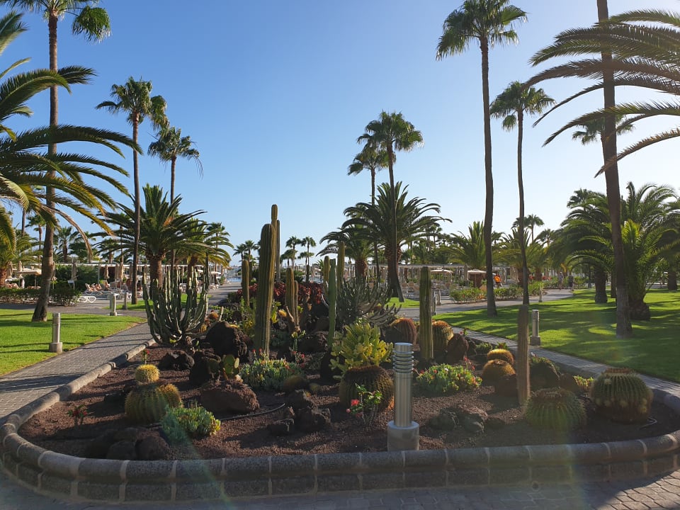 Gartenanlage Hotel Riu Gran Canaria