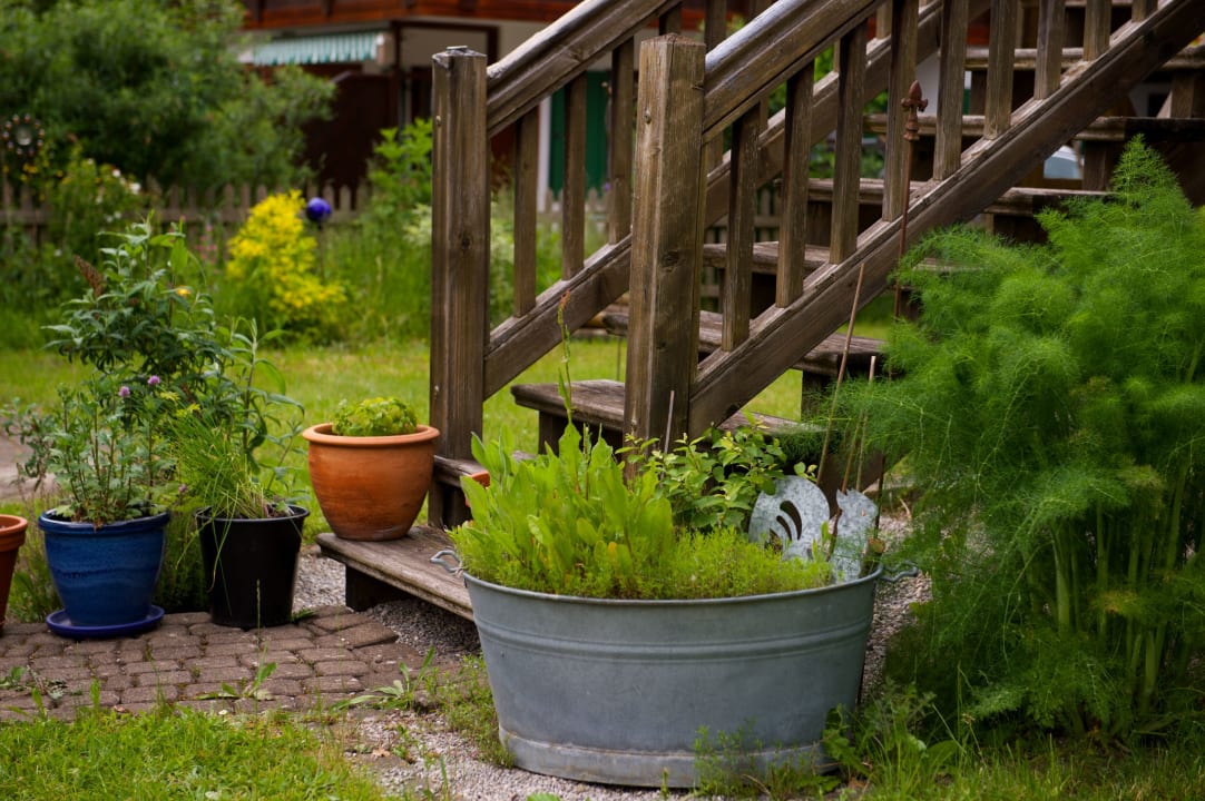 Gartenanlage Ferienhaus Rosa