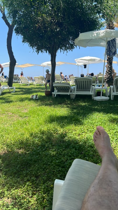 Gartenanlage Labranda Alantur Resort