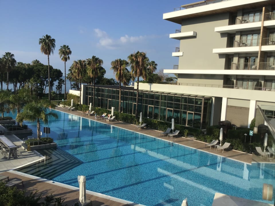 Pool Acanthus Cennet Barut Collection