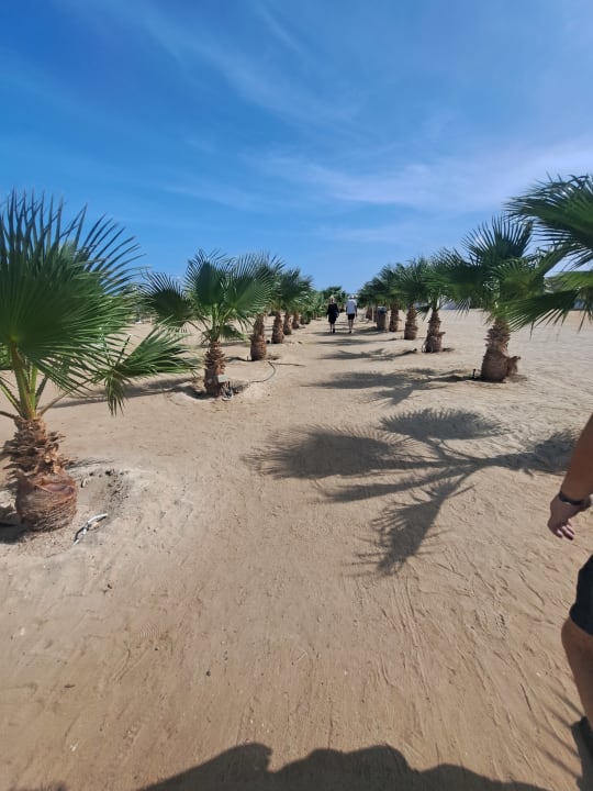 Strand Hilton Marsa Alam Nubian Resort