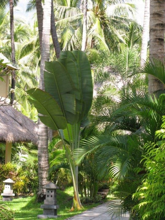 Garten Alam Anda Ocean Front Resort & Spa