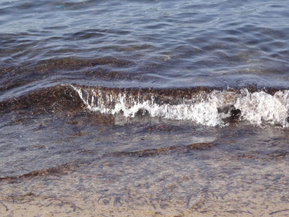 Wellen und Steine im Meer Calimera Sirens Beach