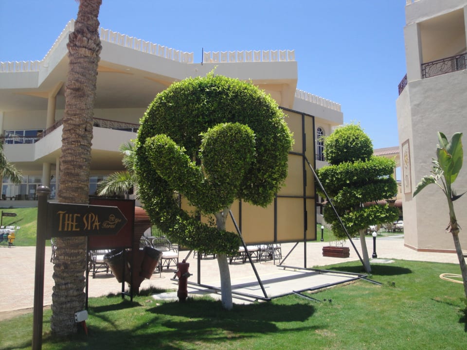 Urocza zieleń Pickalbatros Royal Moderna Resort-Sharm El Sheikh