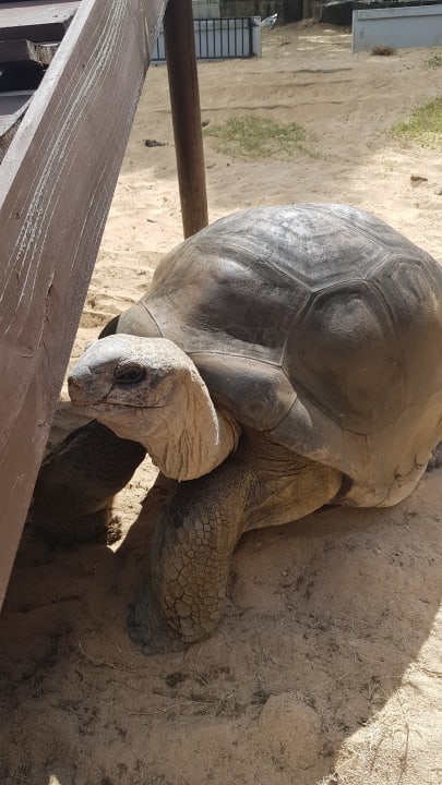Sonstiges Maritim Resort & Spa Mauritius