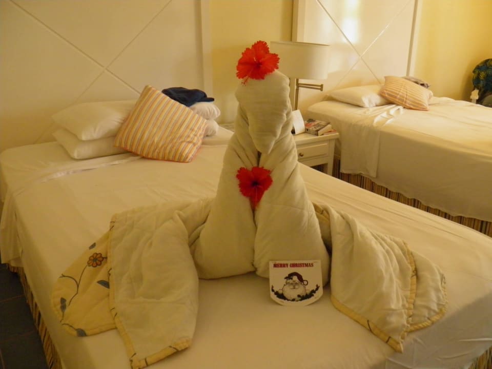 Hübsch Iberostar Origin Taínos