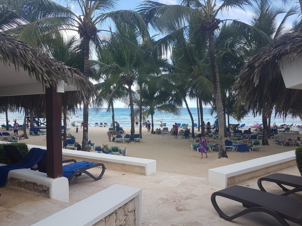 Garten Hotel Viva Dominicus Palace by Wyndham-All Inclusive Resort