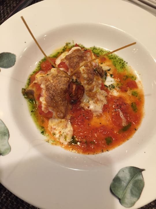 Gastro Acanthus Cennet Barut Collection