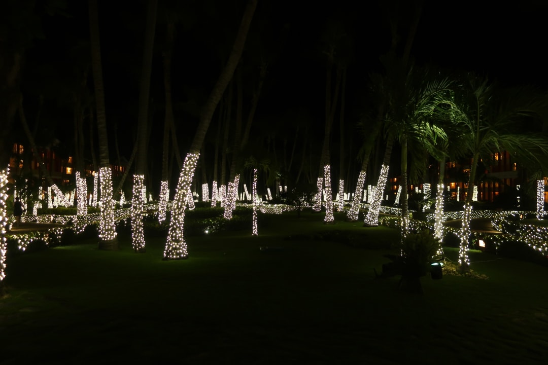 Gartenanlage Iberostar Waves Punta Cana