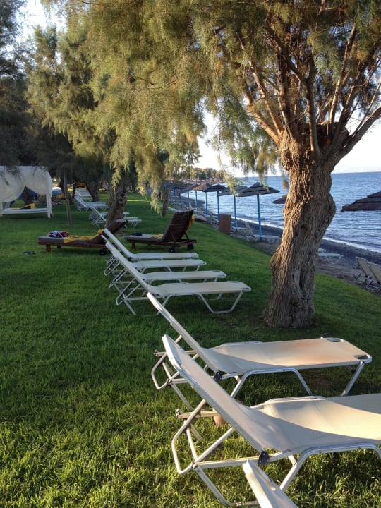 Strand / Wiese TUI BLUE Oceanis Beach and Spa Resort