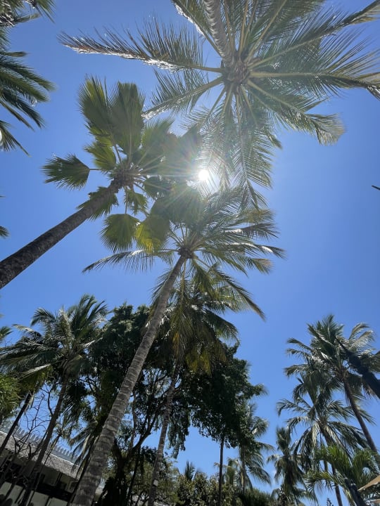 Sonstiges Hotel Southern Palms Beach Resort