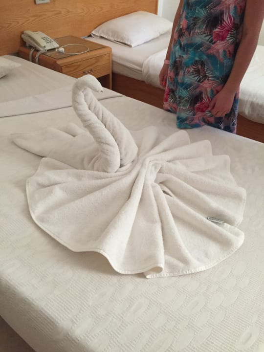 Zimmer Menaville Safaga