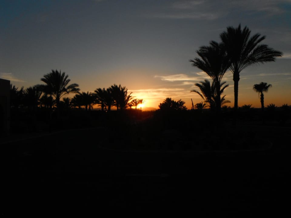 Sonnenuntergang Steigenberger Coraya Beach - Adults only