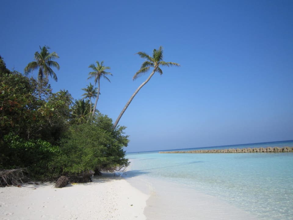 Nord-Ostseite Kuredu Island Resort & Spa