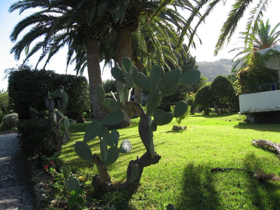 Sehr gepflegt Aldiana Club Rocca Nettuno Calabria