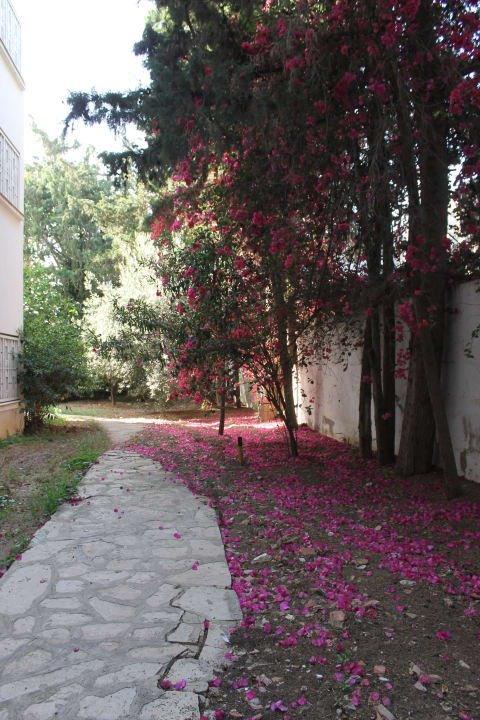 Garden The Orangers Beach Resort and Bungalows