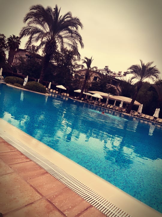 Pool Side Star Elegance