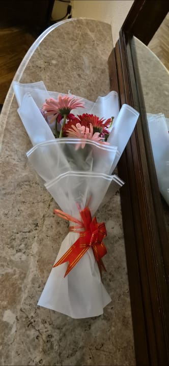 Zimmer Hotel Radisson Kathmandu