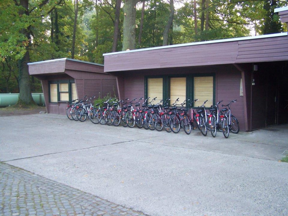 Fahrradverleih Meeressterne Hotel Forsthaus Damerow