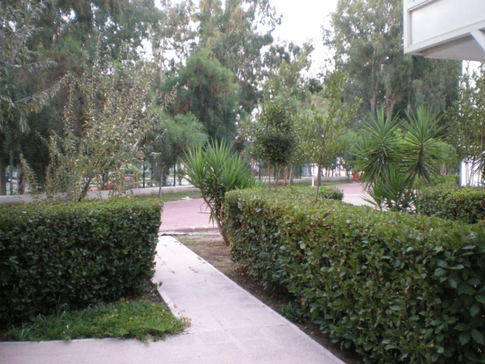 Blick aus dem Zimmer Monachus Family Resort Sorgun