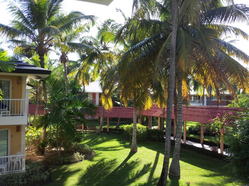 Ausblick Junior Suite Grand Palladium Select Bávaro Resort & Spa