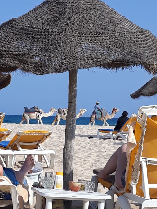 Strand Club Salammbô Hammamet