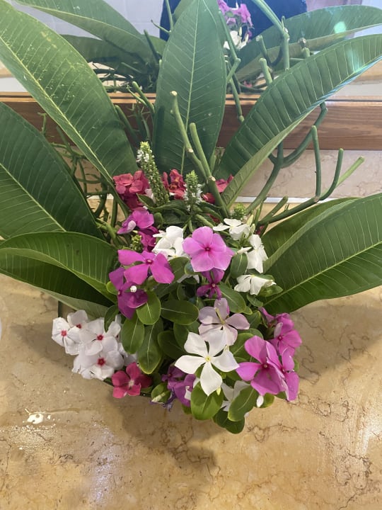 Sonstiges Jaz Makadi Oasis Resort