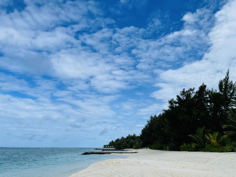 Strand Summer Island Maldives