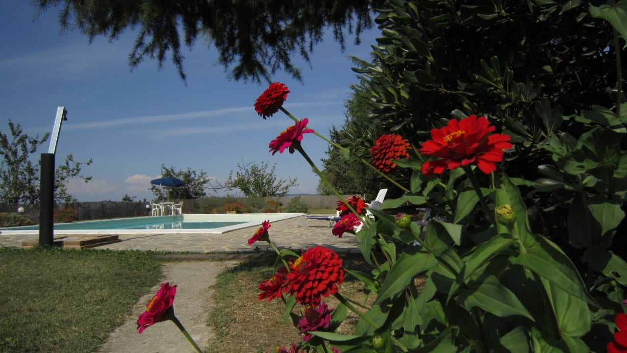 Parte del giardino Agriturismo Villa di Valle