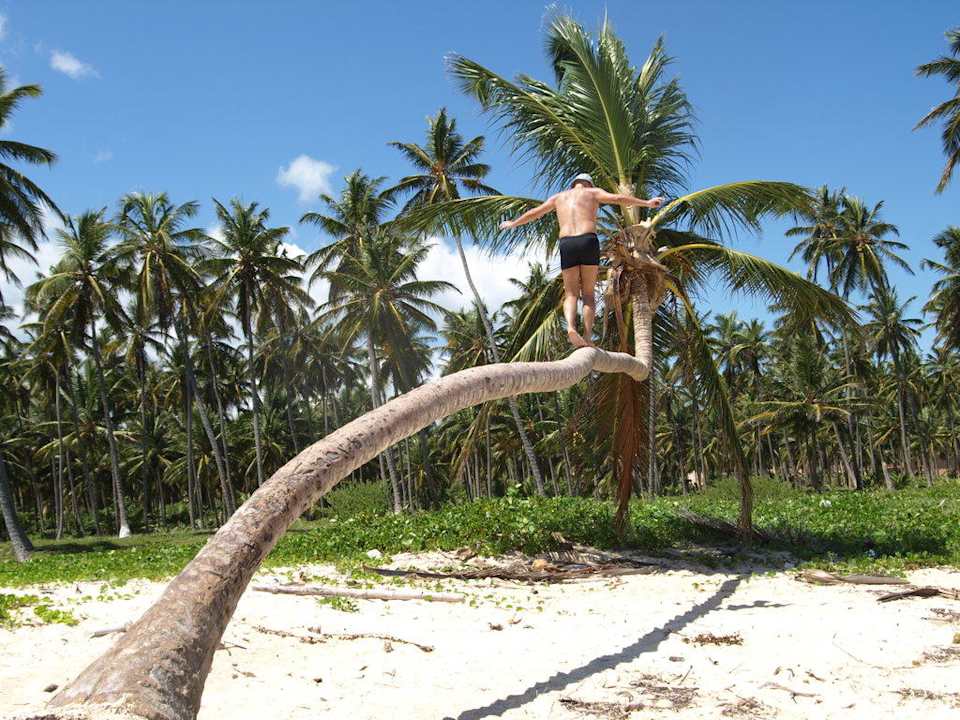 Palmenstrand Hotel Riu Bambu